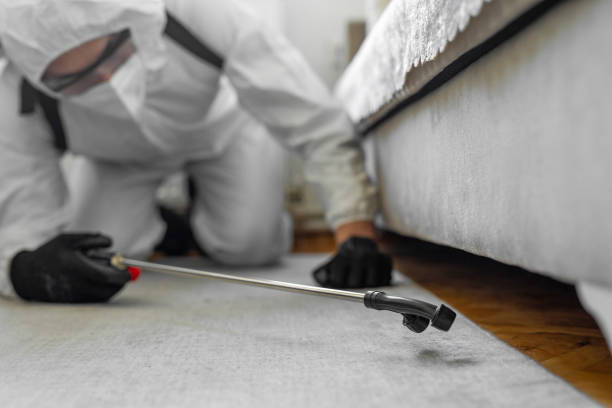 Professional Pest Control technician working in Hernando County County, FL
